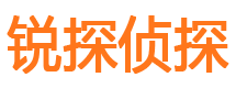 武江市侦探调查公司